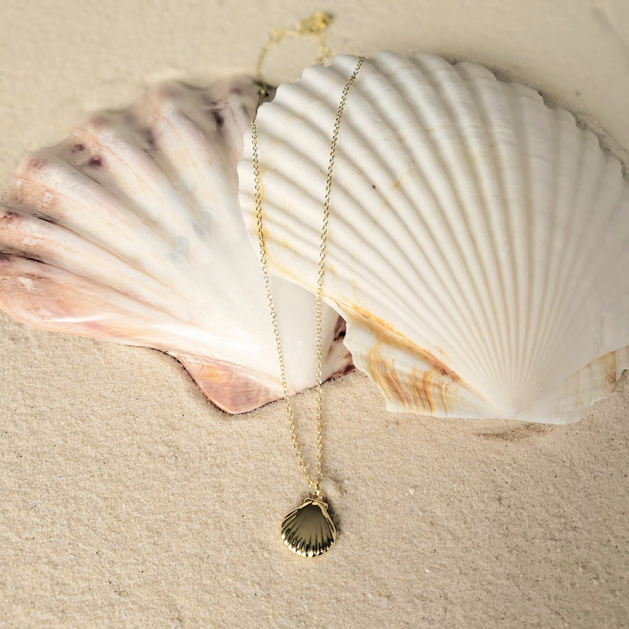 Alice Scallop Shell Necklace