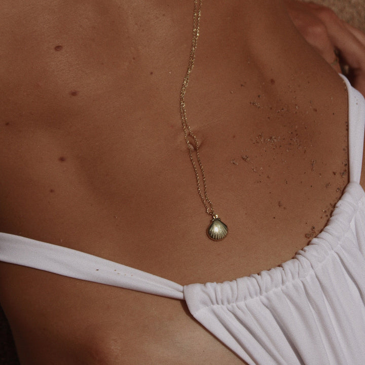 Alice Scallop Shell Necklace