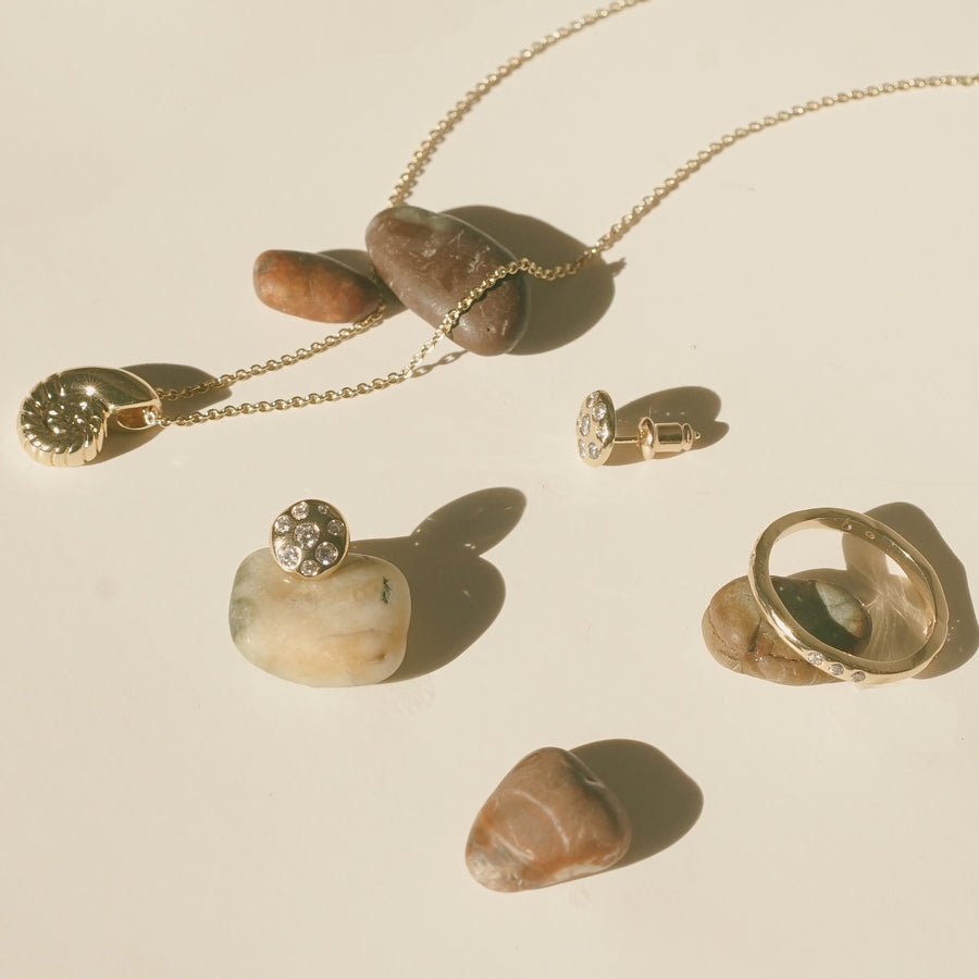 Nautilus Shell Necklace